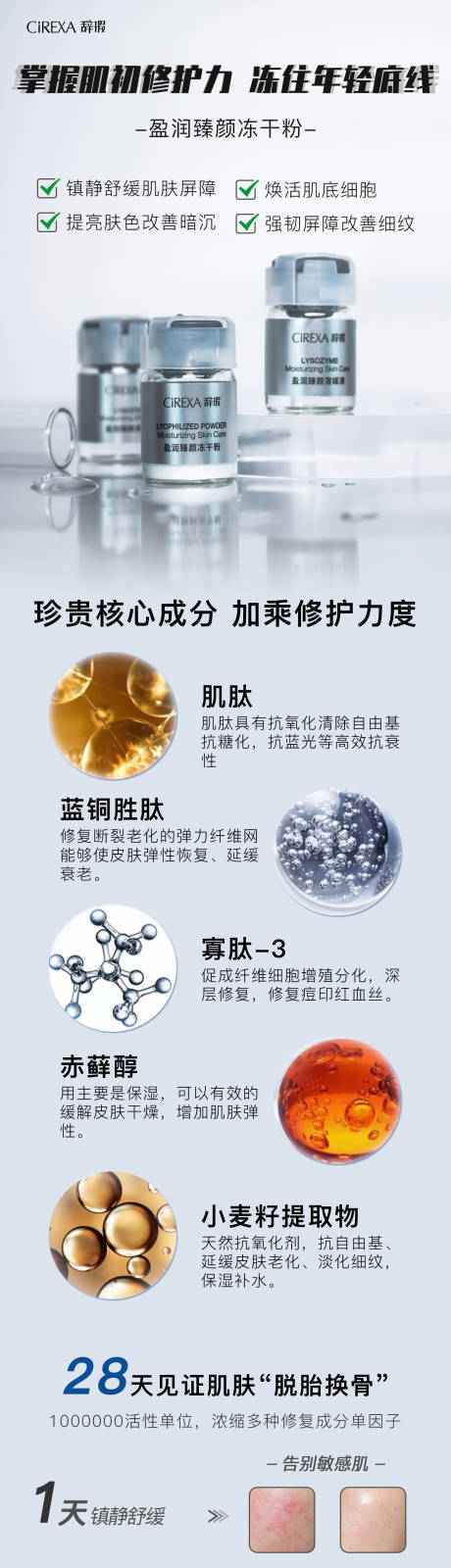 源文件下载【产品海报设计】编号：18690031207897009