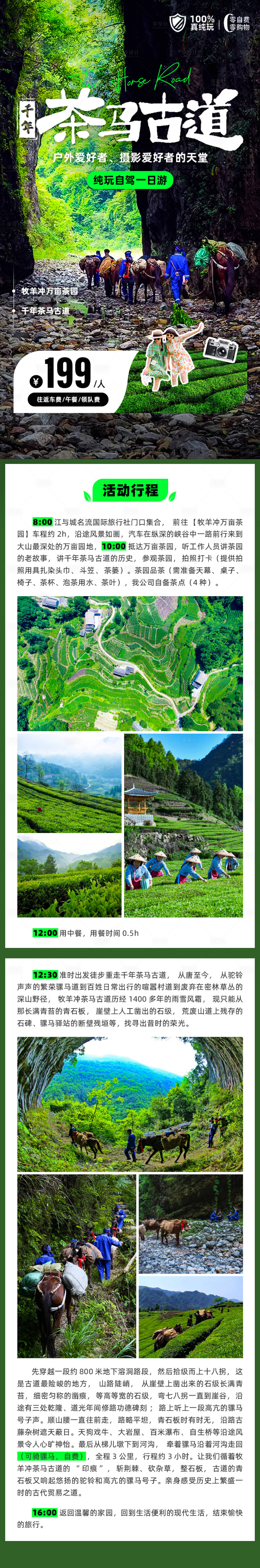 源文件下载【享设计】搜索编号：29460031477483877【茶马古道详情】