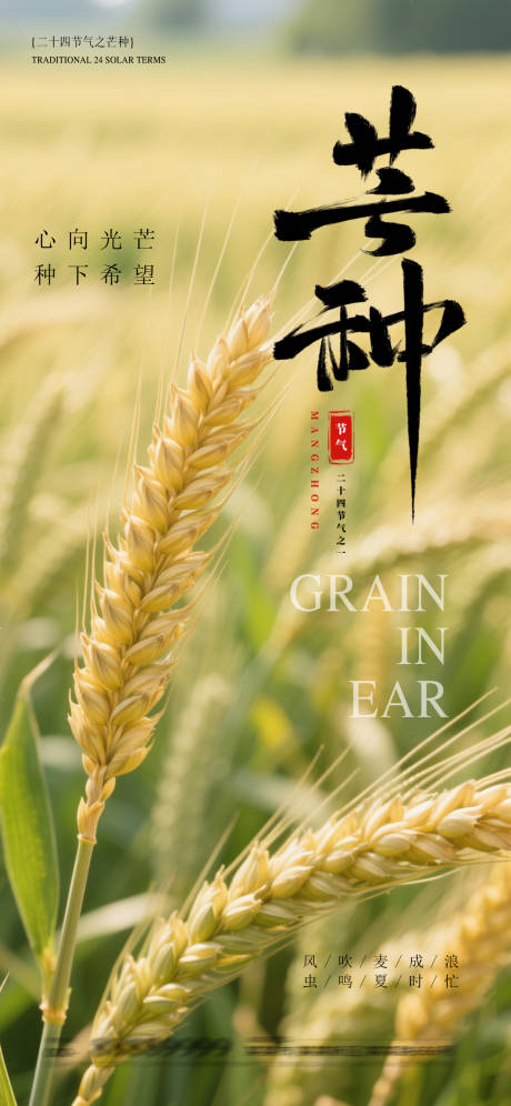 源文件下載【地產(chǎn)芒種海報(bào)】編號(hào)：99520031132724007