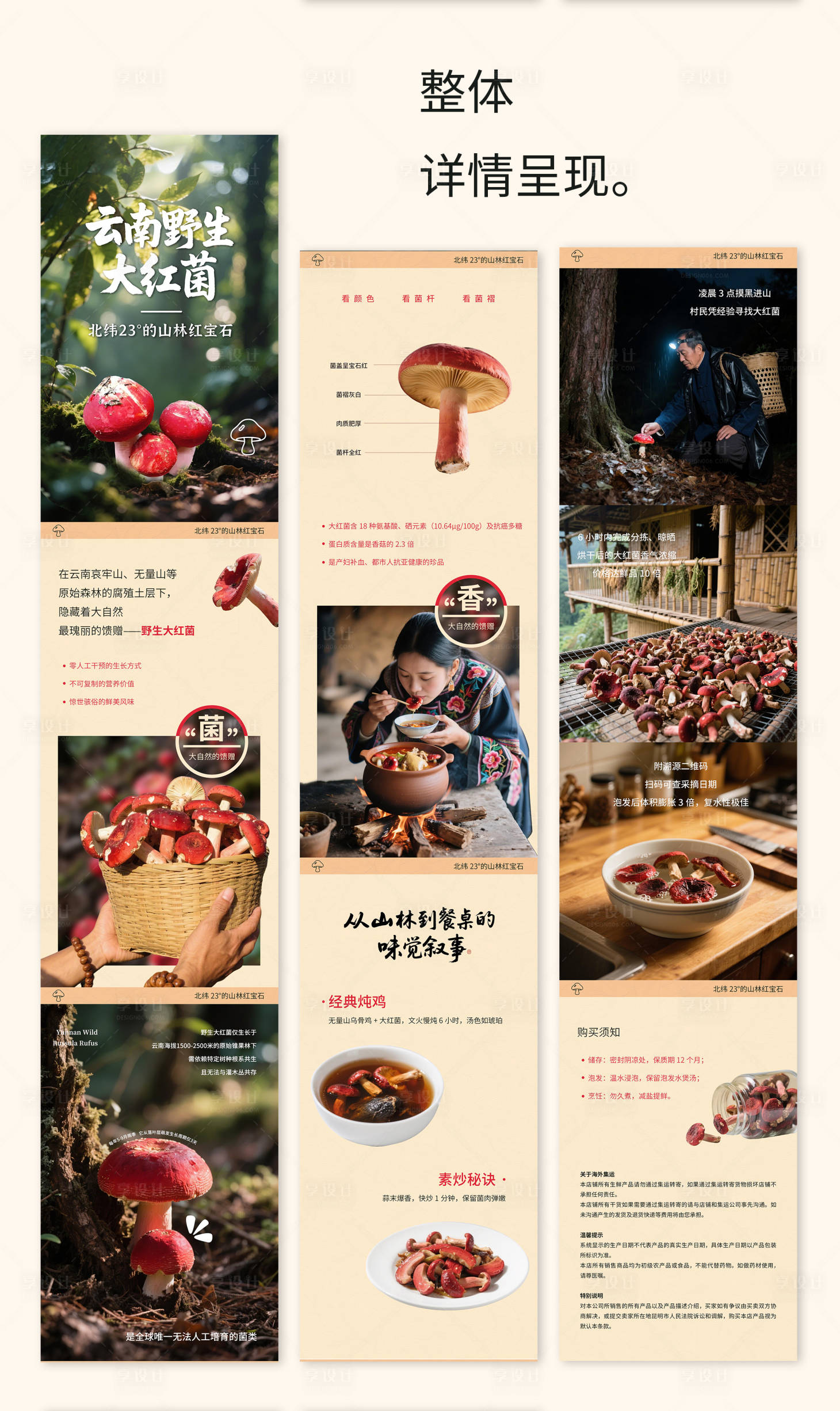 源文件下載【享設計】搜索編號：66570031493026958【云南野生大紅菌詳情頁】
