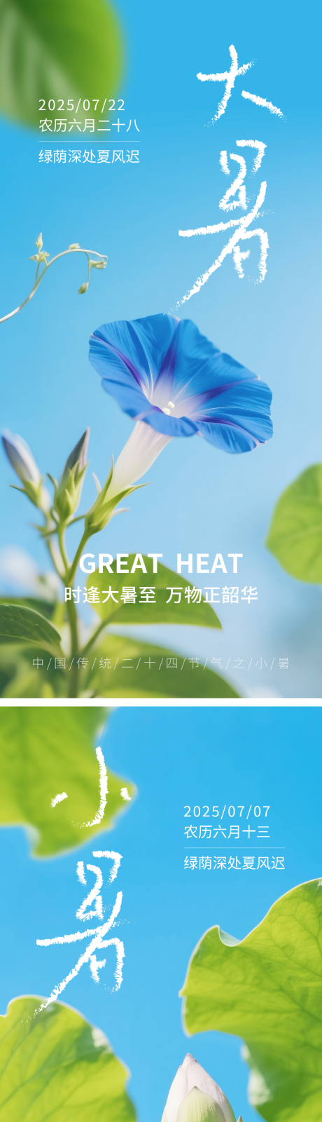 源文件下载【大暑海报】编号：63250031619749761
