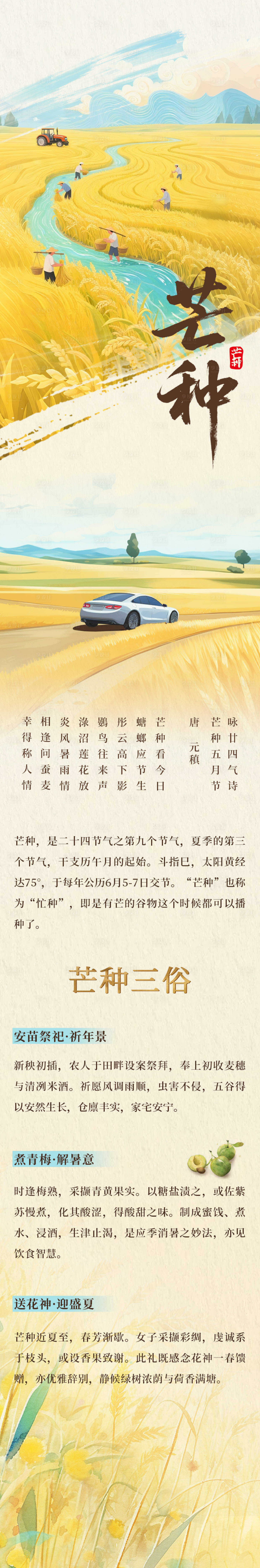 源文件下载【享设计】搜索编号：49330031139545260【芒种习俗节气海报长图】