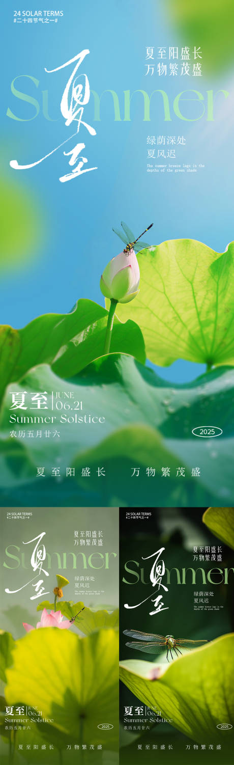 源文件下载【夏至荷叶荷花夏天蜻蜓】编号：21720031404579652