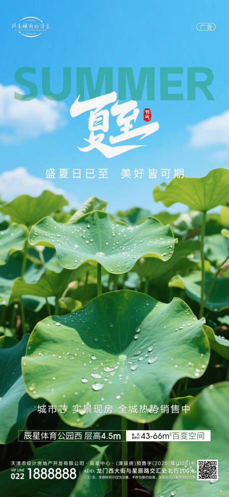 夏至节气海报