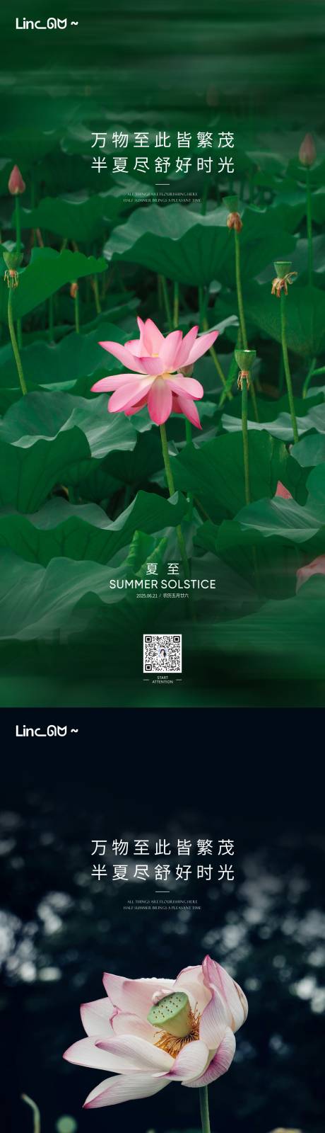 源文件下載【享設計】搜索編號：54010031378704099【夏至荷花單圖】