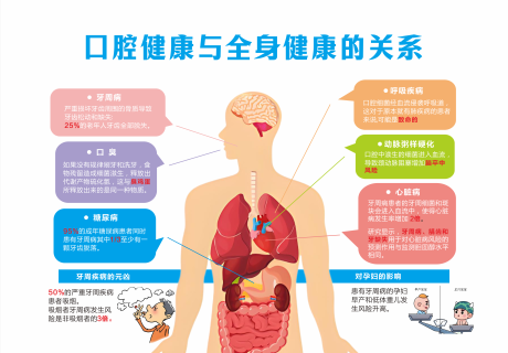 源文件下载【口腔健康与全身健康的关系】编号：75130031418413155