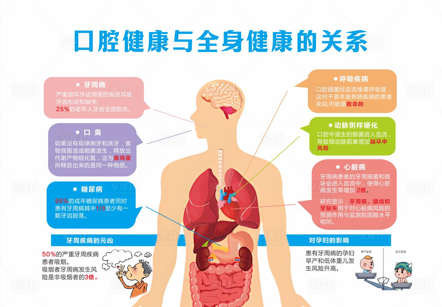 源文件下载【享设计】搜索编号：75130031418413155【口腔健康与全身健康的关系】