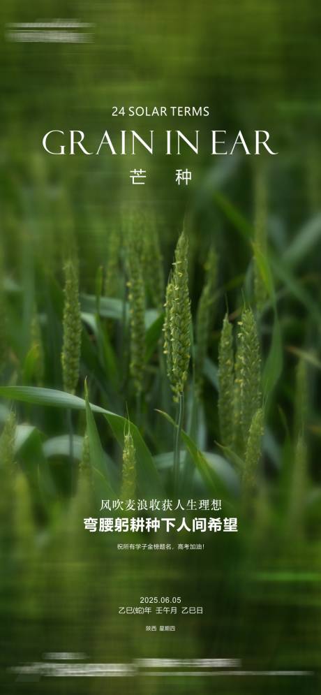 源文件下载【芒种单图】编号：46690031137553127