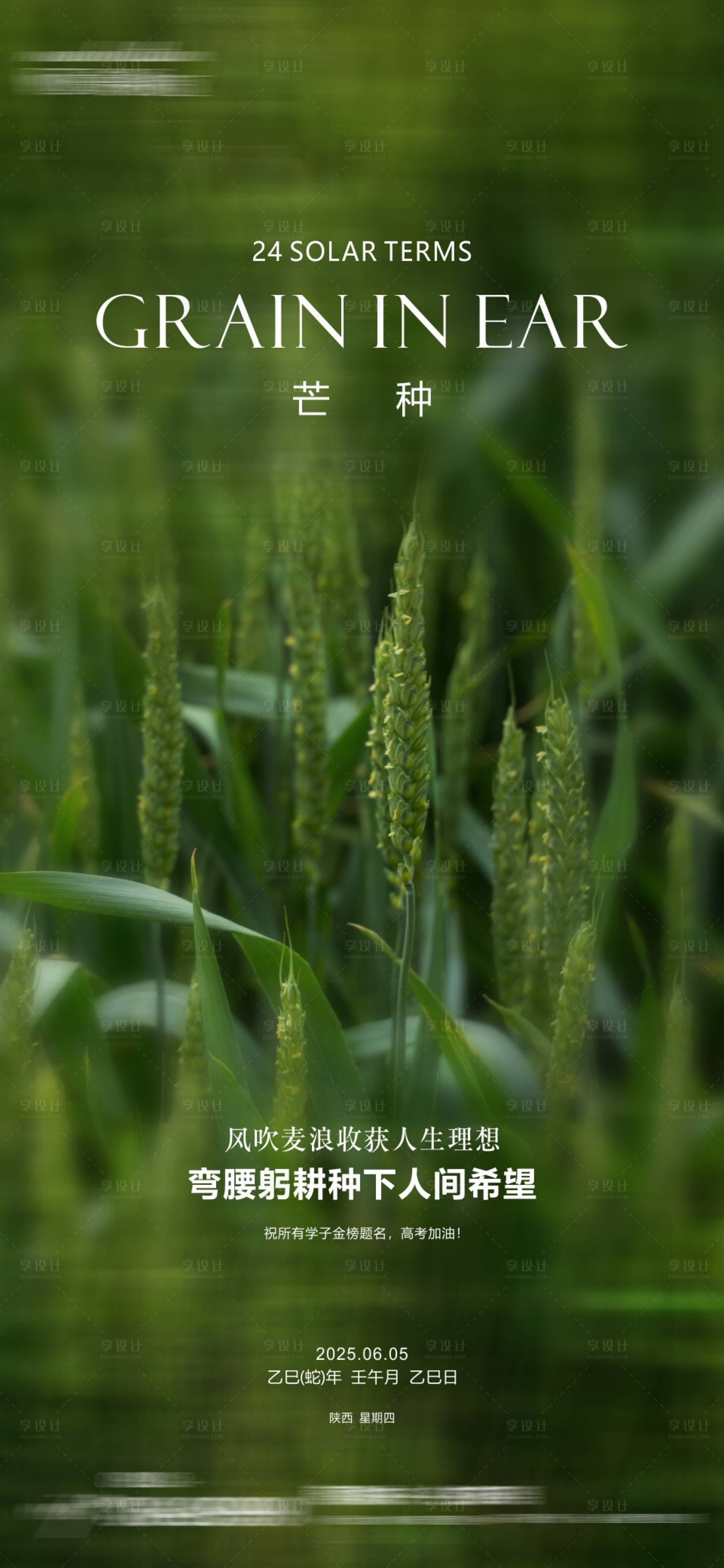 源文件下载【享设计】搜索编号：46690031137553127【芒种单图】