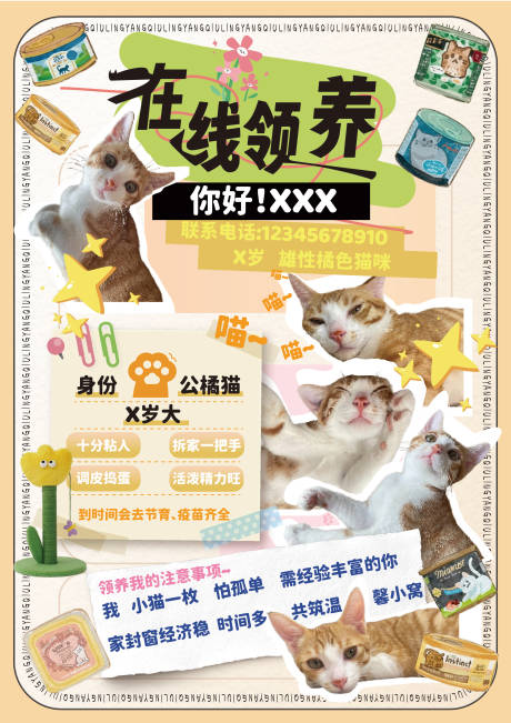 源文件下载【宠物领养】编号：30440031262113469