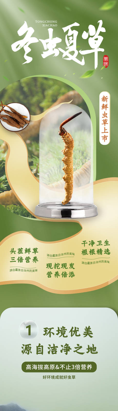 源文件下載【蟲草詳情頁】編號：34860031311197997
