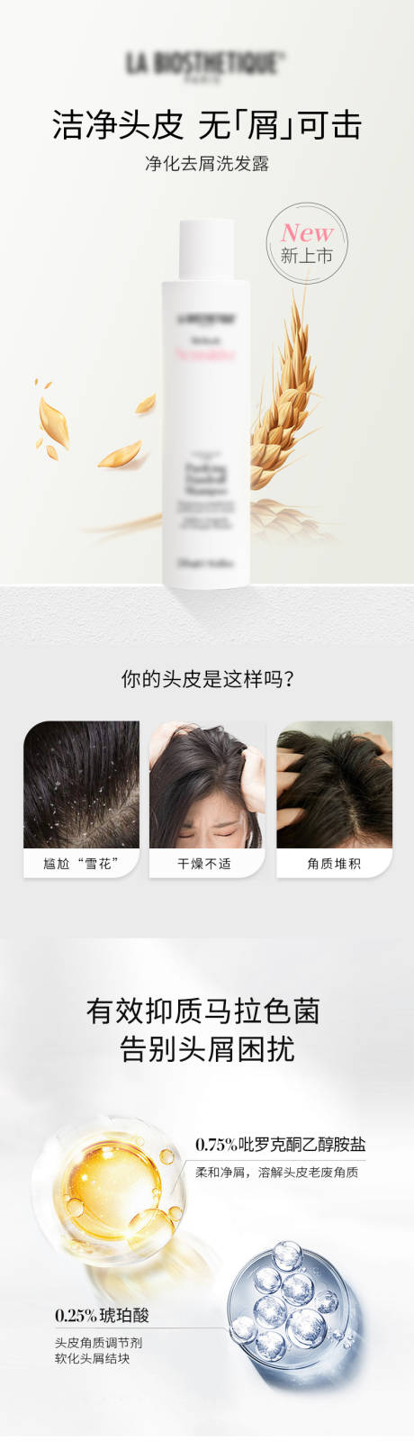 源文件下载【享设计】搜索编号：76190031574776225【洗发水详情页】