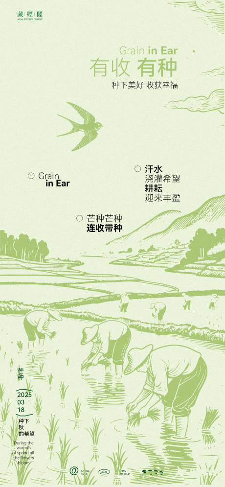 芒种新潮海报