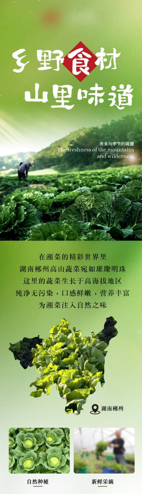 源文件下载【享设计】搜索编号：69010031188585946【餐饮美食时蔬宣传公众号长图】