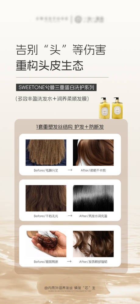 源文件下载【洗护洗发水产品海报】编号：81240031588181021