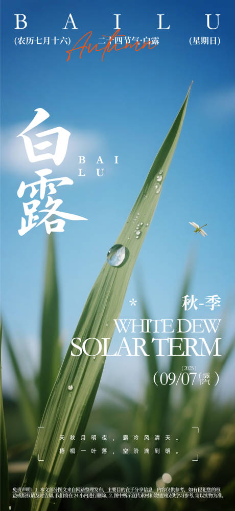 源文件下载【白露海报】编号：20760031363404716