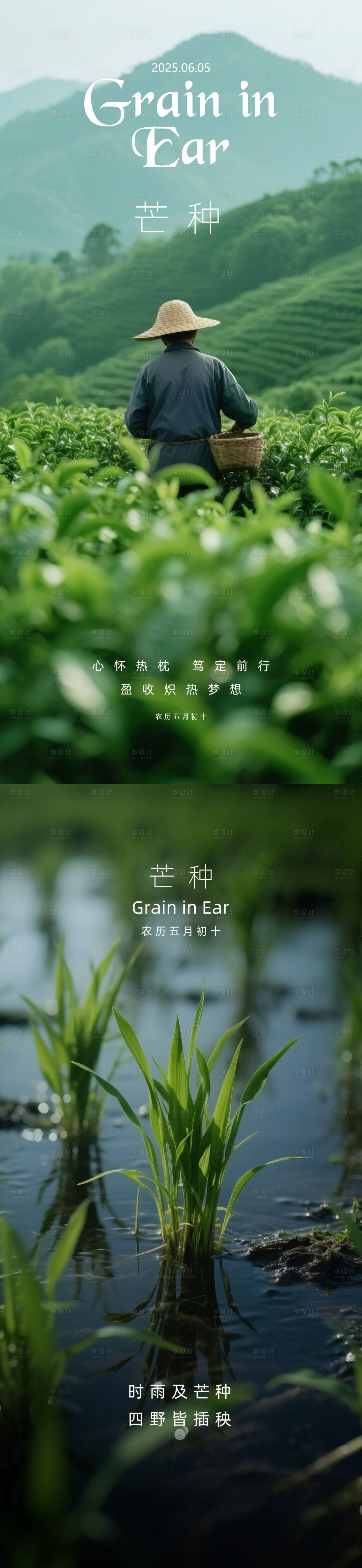 源文件下载【享设计】搜索编号：12570031146309268【二十四节气芒种摄影写实系列海报】