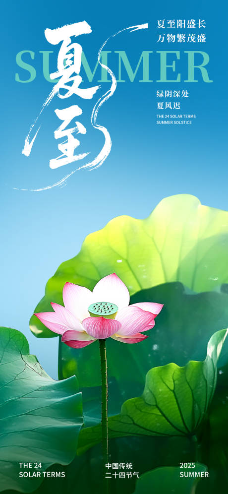 源文件下载【夏至节气海报】编号：60570031135579982
