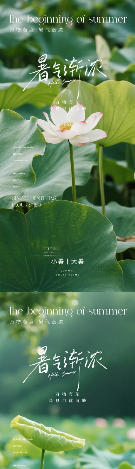 源文件下载【享设计】搜索编号：90370031524875517【小暑大暑节气系列海报】