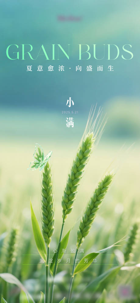 源文件下载【小满节气海报】编号：12750031197066881