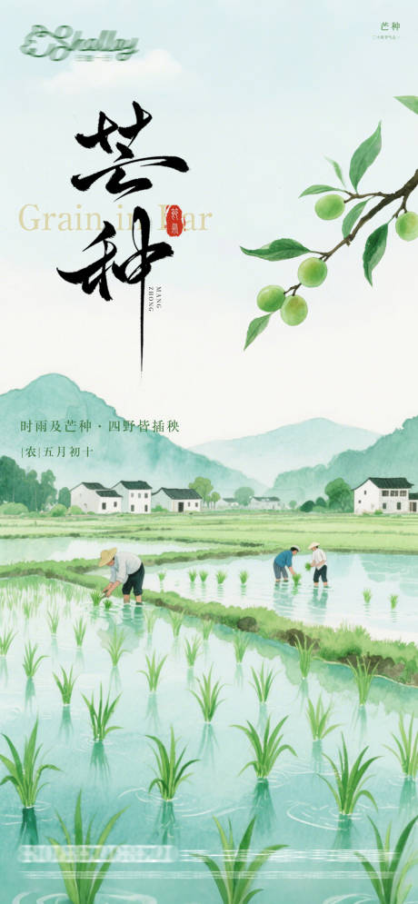 源文件下载【芒种水彩海报】编号：36830031147567504
