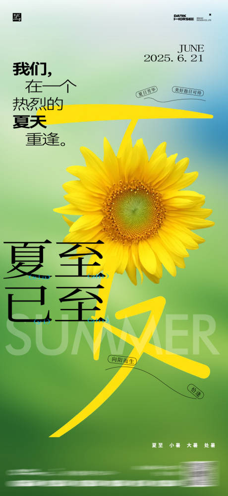 夏至节气字体海报