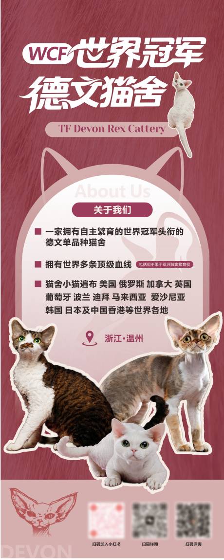 源文件下载【享设计】搜索编号：78770031221041144【宠物猫咪德文易拉宝】