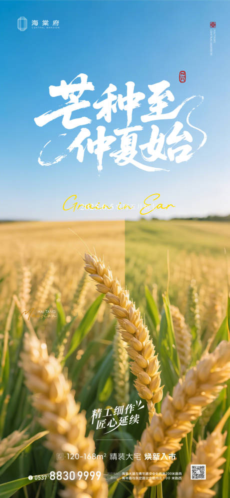 源文件下载【地产芒种节气海报】编号：91740031158882118