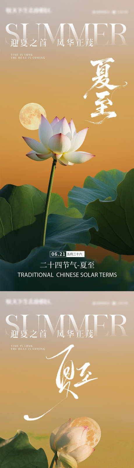 源文件下载【夏至荷叶荷花夏 蜻蜓】编号：45400031405101084