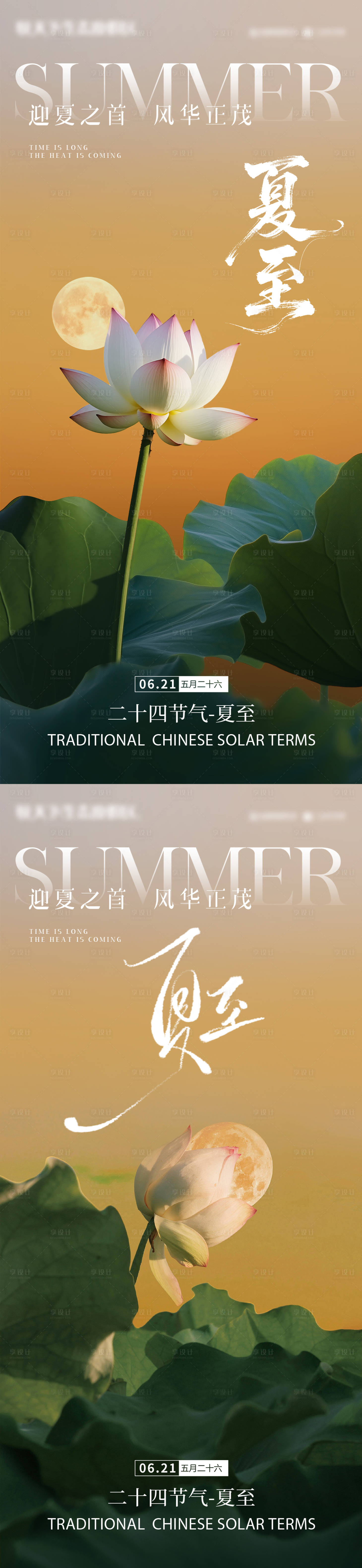 源文件下载【享设计】搜索编号：45400031405101084【夏至荷叶荷花夏 蜻蜓】