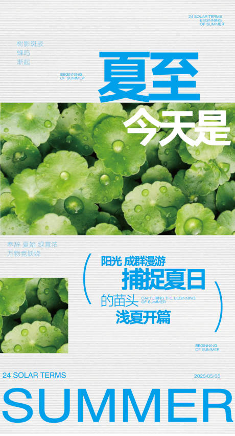 源文件下載【夏至海報】編號：11700031221118198