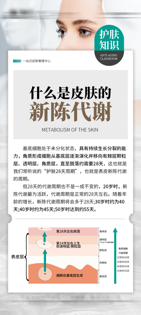 源文件下载【皮肤的新陈代谢海报】编号：51450031238884122