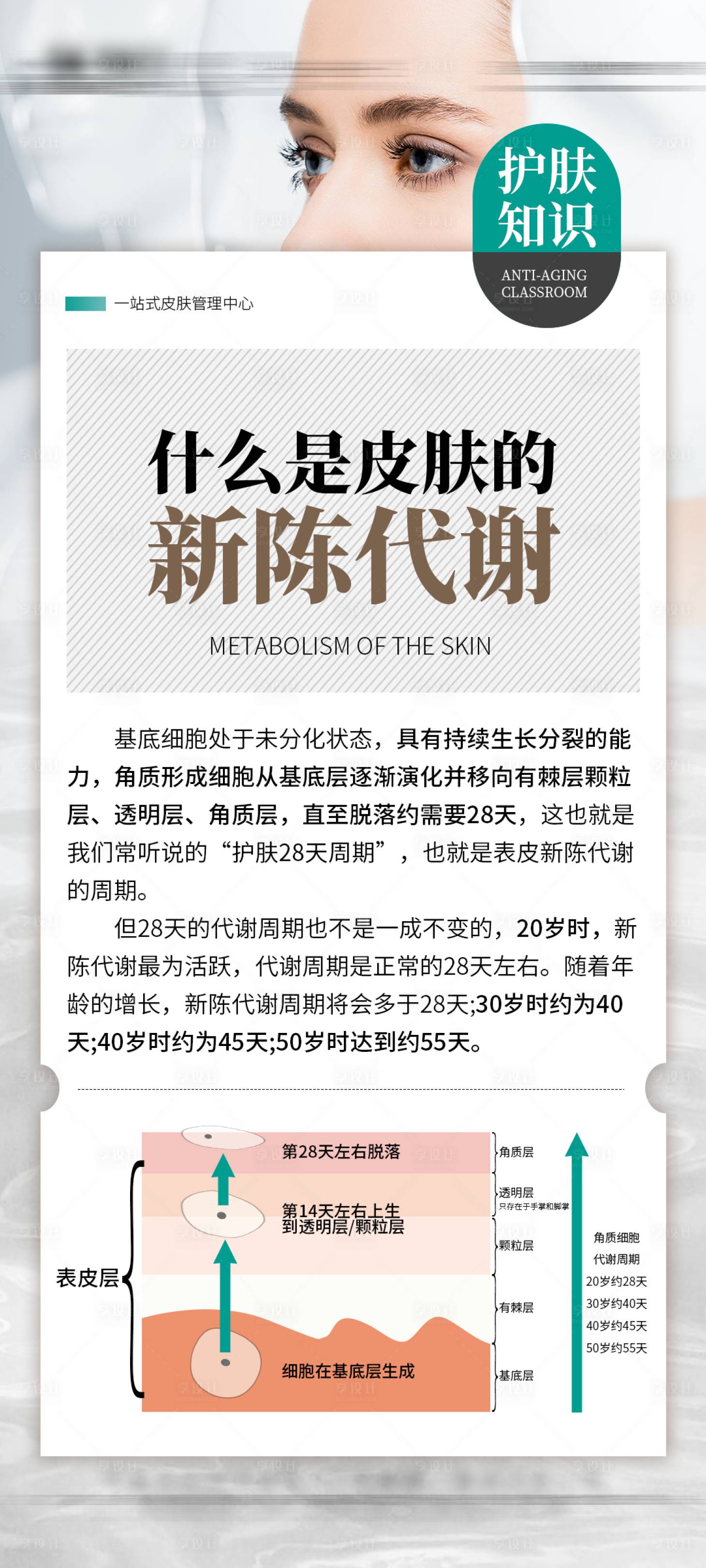 源文件下載【享設計】搜索編號：51450031238884122【皮膚的新陳代謝海報】