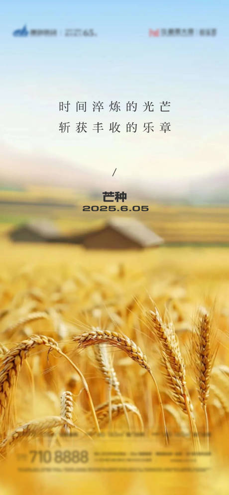 源文件下载【芒种海报】编号：47230031114136588