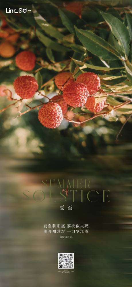 源文件下载【夏至荔枝海报】编号：79020031459466383