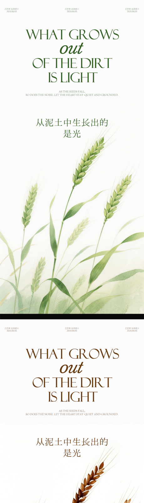 源文件下载【享设计】搜索编号：86510031141989414【芒种节气海报插画简约地产】