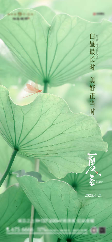 源文件下载【夏至节气海报】编号：93030031458441640