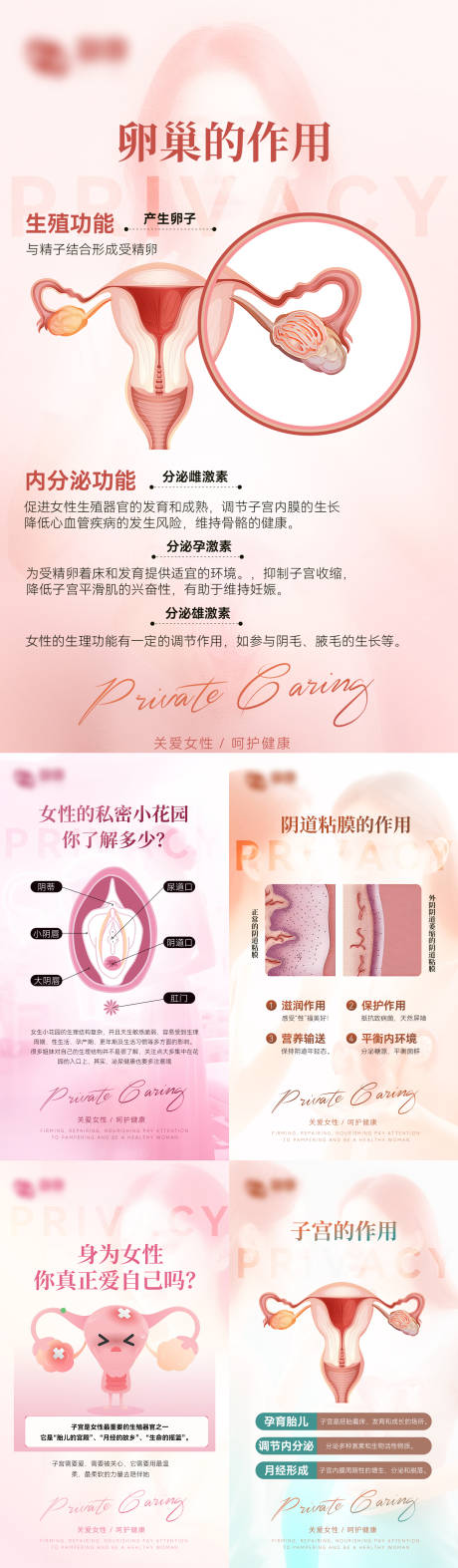 源文件下载【享设计】搜索编号：46550031388909113【医美私密系列图】