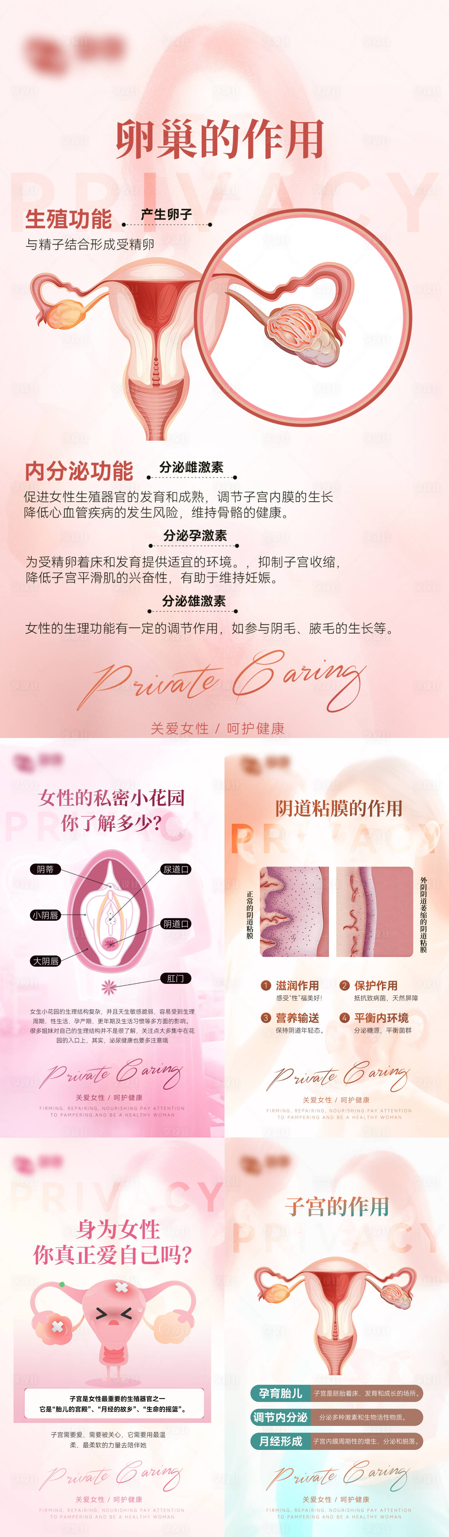 源文件下载【享设计】搜索编号：46550031388909113【医美私密系列图】