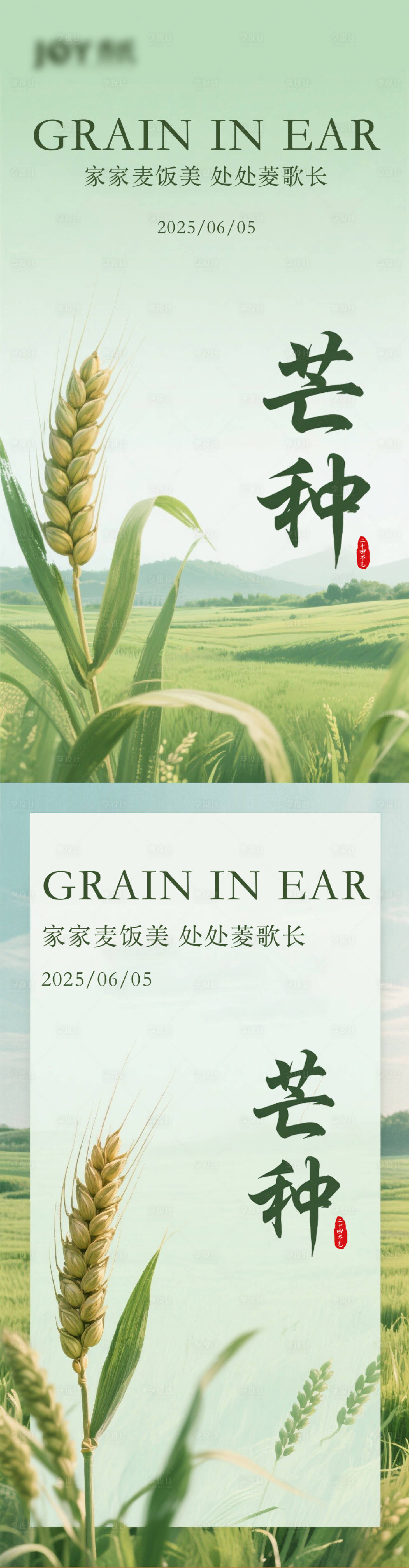 源文件下載【享設計】搜索編號：18400031530716758【芒種節氣海報】
