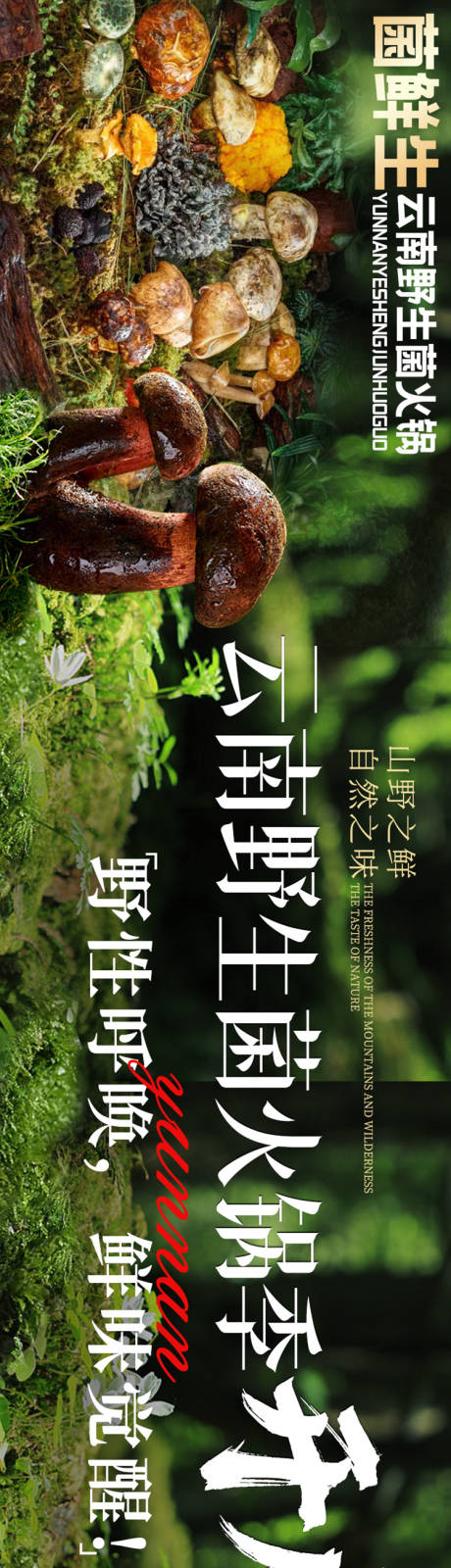 源文件下載【大眾點評野生菌五連圖設計】編號：35970031561326422