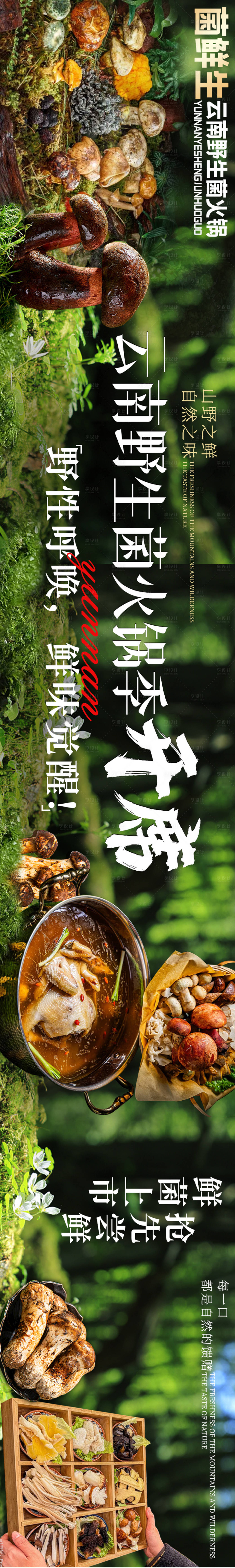 源文件下载【享设计】搜索编号：35970031561326422【大众点评野生菌五连图设计】