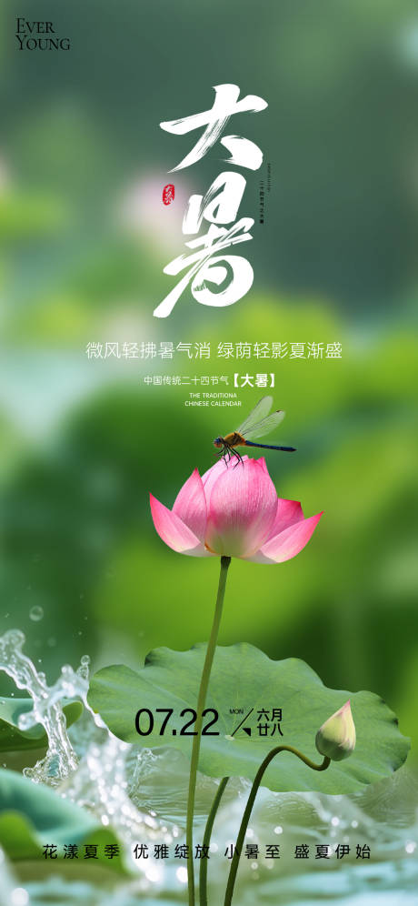 源文件下載【大暑海報】編號：46220031405955197