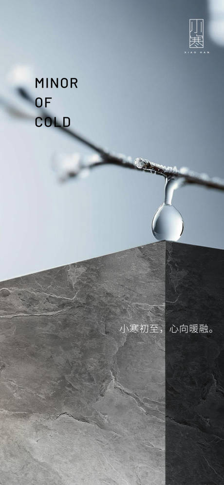 源文件下载【小寒节气海报】编号：71870031276459493