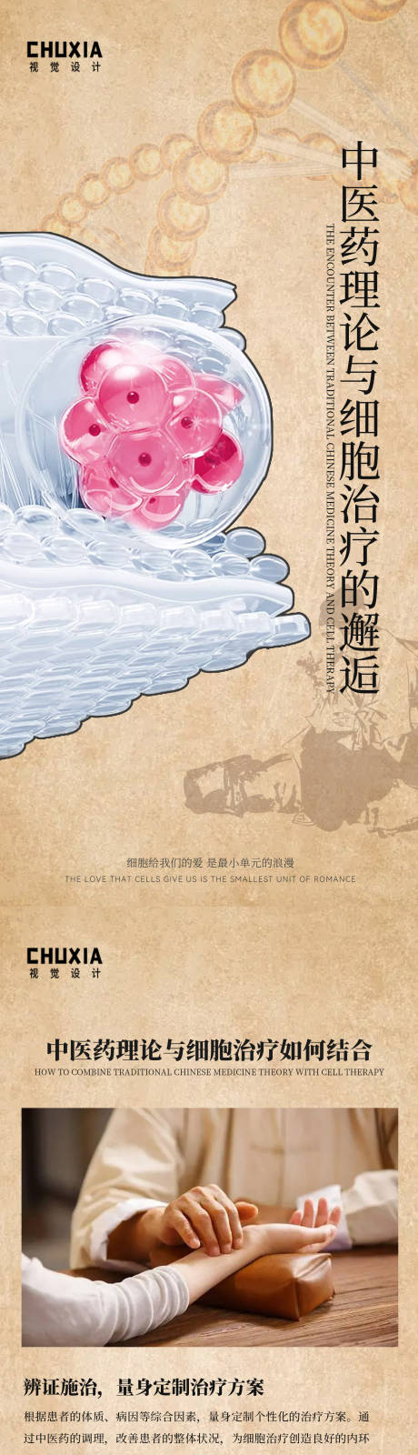 源文件下载【享设计】搜索编号：30170031209025238【中医与干细胞】