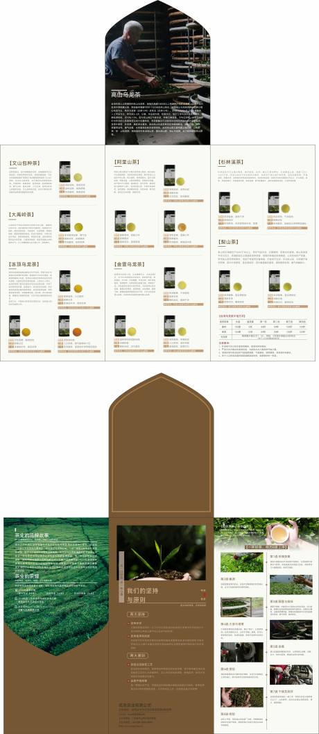 源文件下载【茶叶介绍异形三折页】编号：64500031494374443