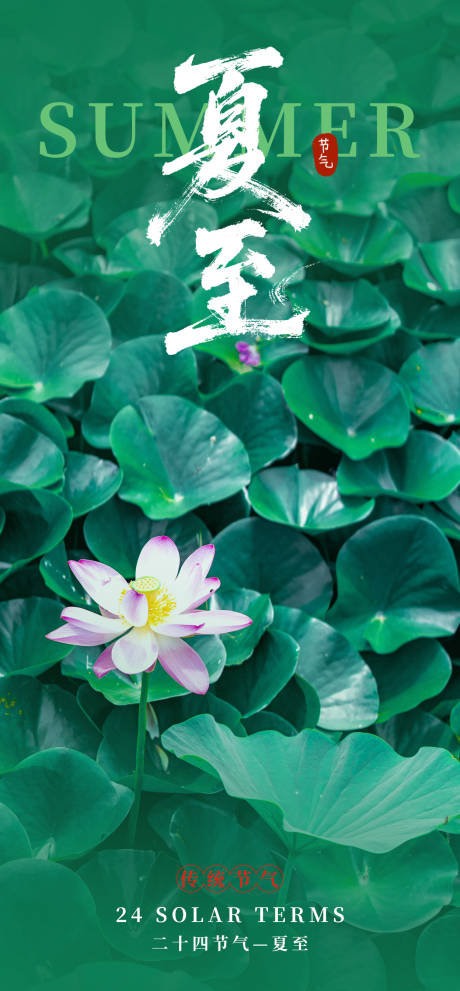 源文件下載【夏至節氣海報】編號：41450031135648272