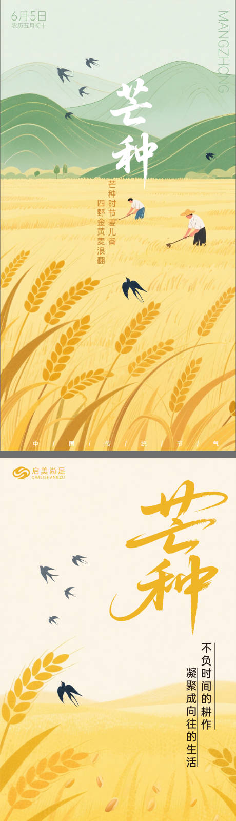 源文件下载【芒种节气海报】编号：48340031104464498