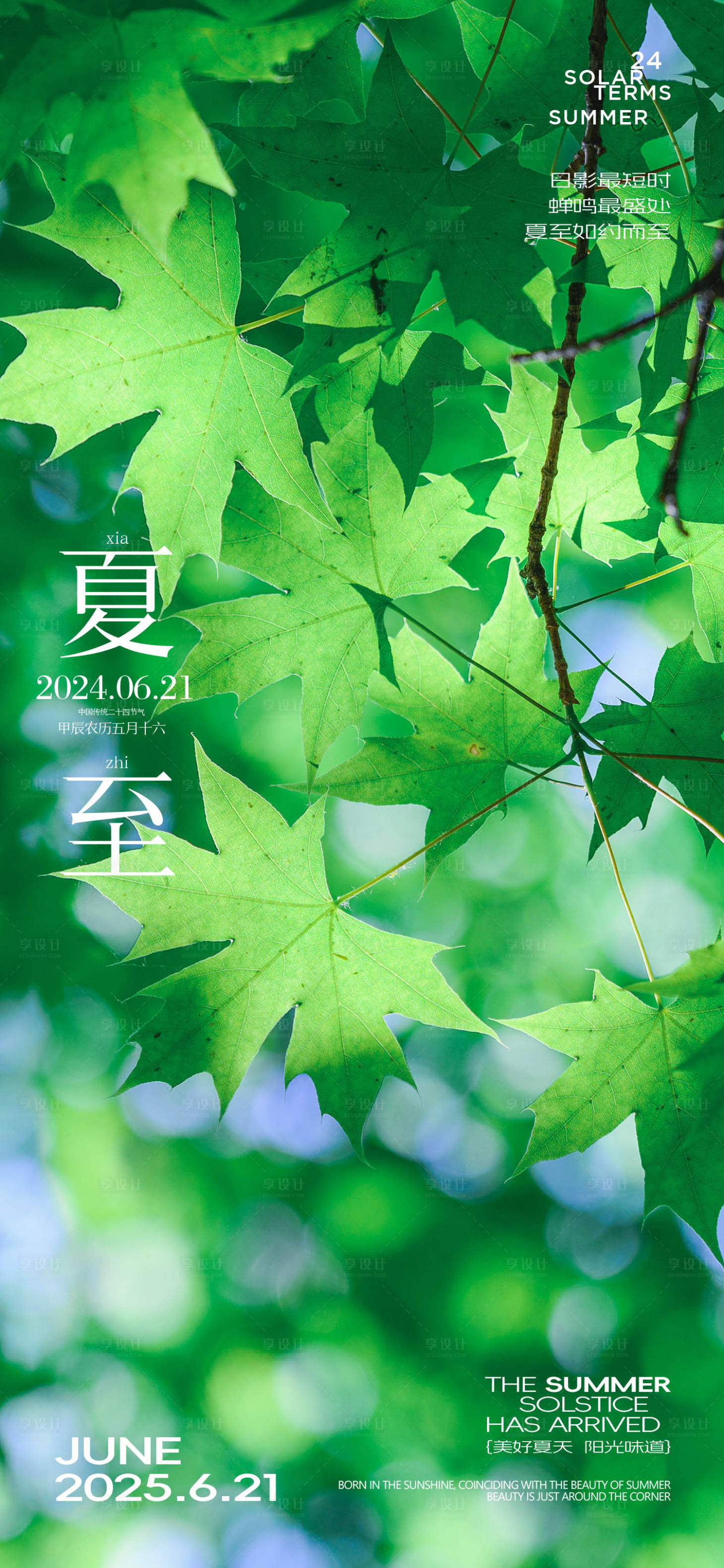 源文件下載【享設計】搜索編號：81760031275807868【夏至節氣海報】
