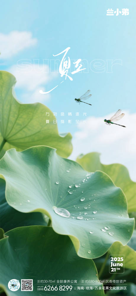 源文件下載【享設計】搜索編號：67680031389707036【夏至節氣海報】